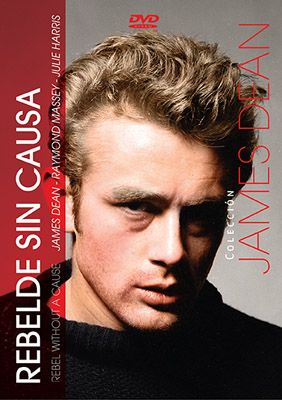 REBELDE SIN CAUSA