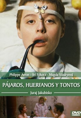 PAJAROS HUERFANOS Y TONTOS