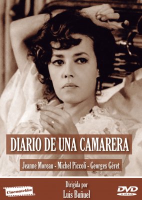 DIARIO DE UNA CAMARERA