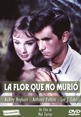 La Flor Que No Murio - Cinematekka Manquehue