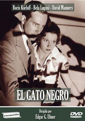 EL GATO NEGRO