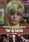Flor De Cactus